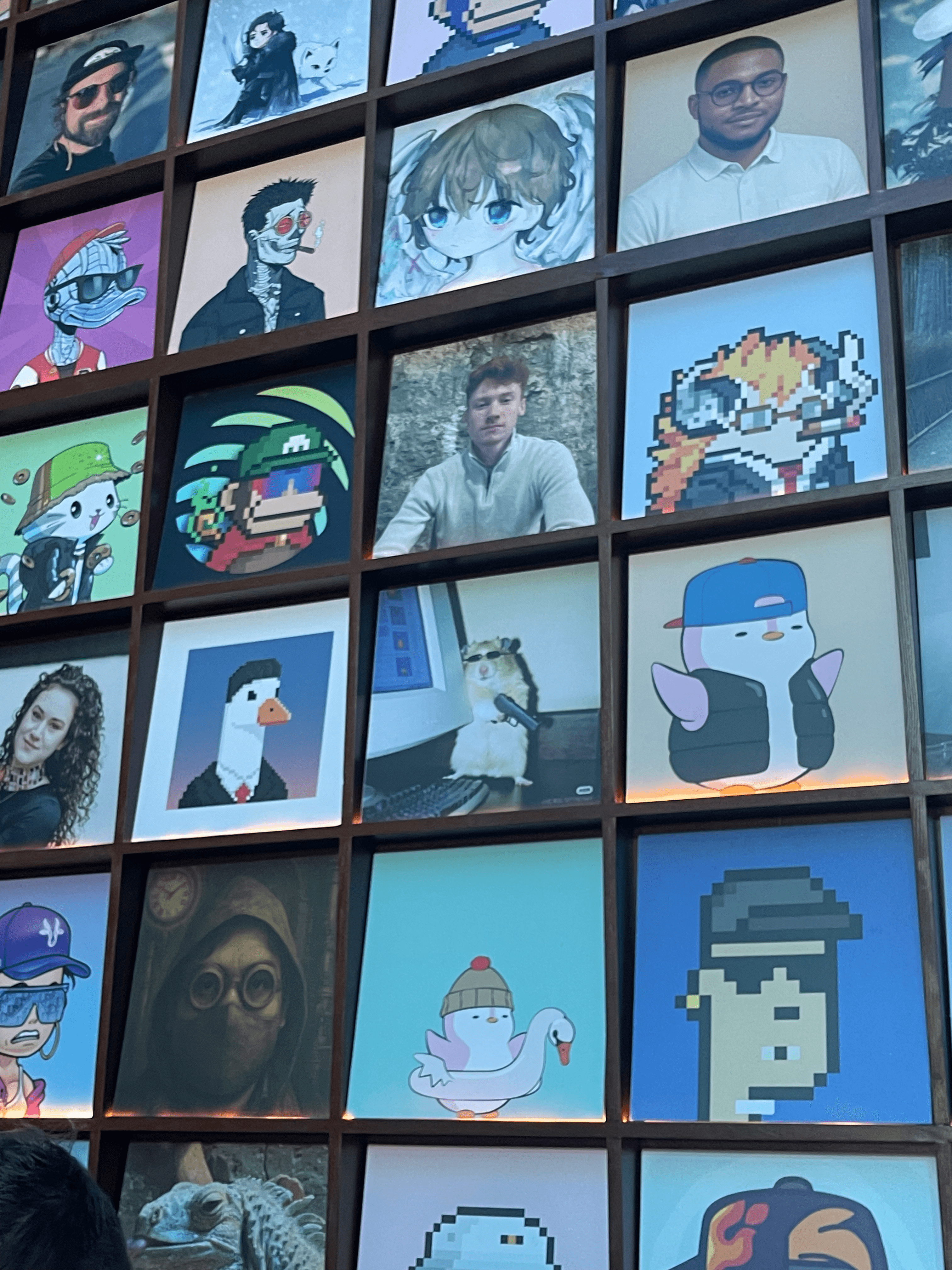 a mouse profile picture